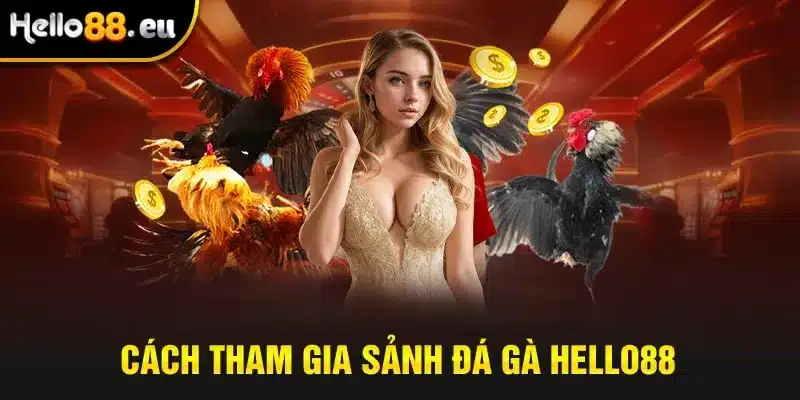 Cách tham gia sảnh đá gà HELLO88