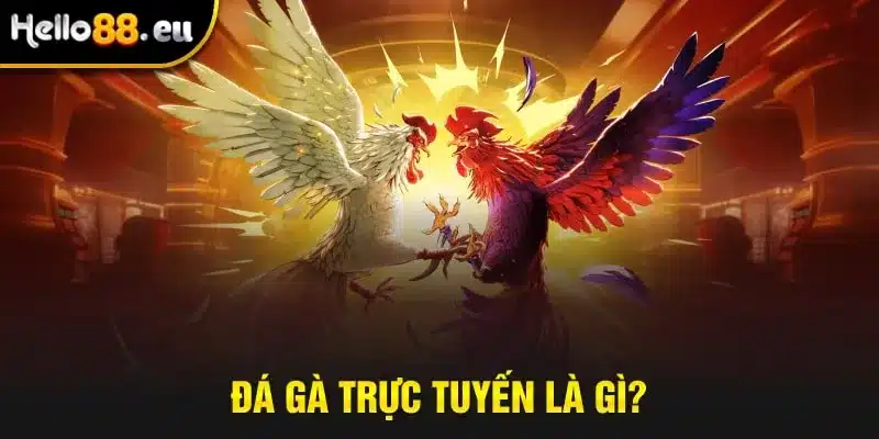 Đá gà trực tuyến là gì?