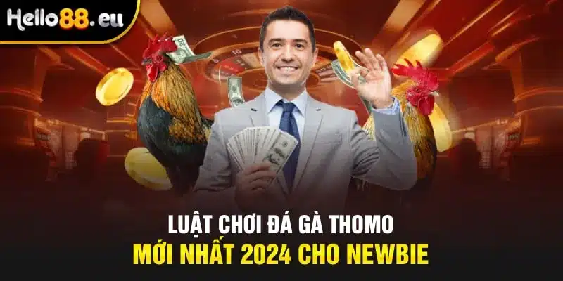 Luật chơi đá gà Thomo mới nhất 2024 cho Newbie Luật chơi đá gà Thomo mới nhất 2024 cho Newbie