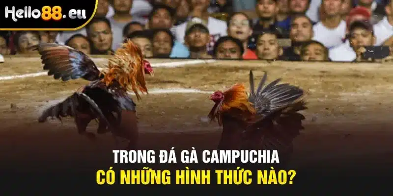 Trong đá gà Campuchia có những hình thức nào?