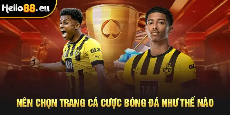 Nên chọn trang cá cược bóng đá như thế nào?